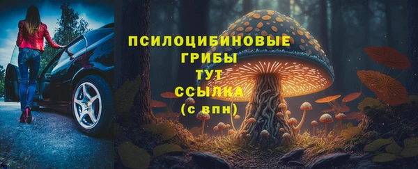 не бодяженный Рославль